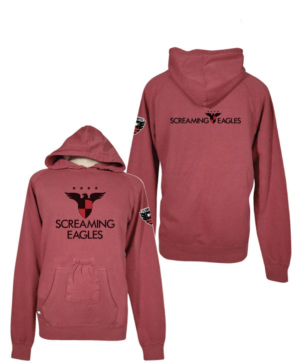 Pink sale eagles hoodie